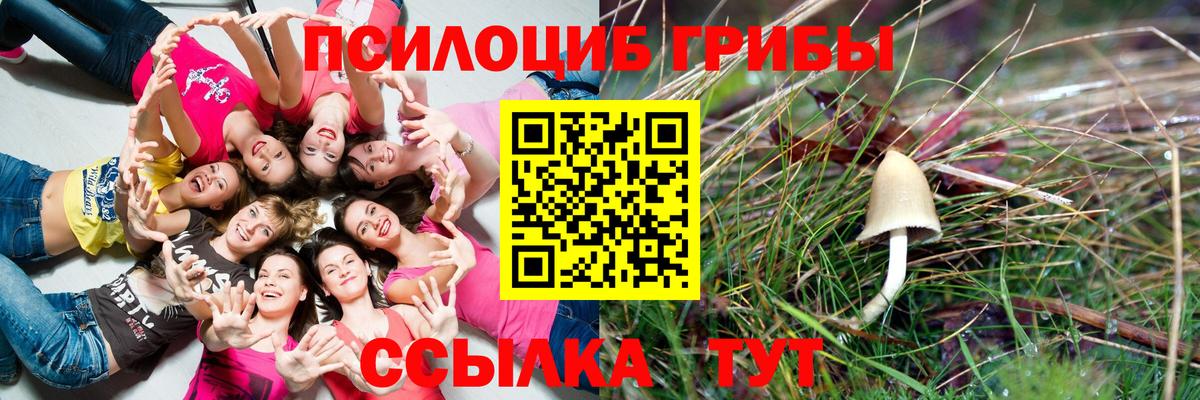 Псилоцибиновые грибы ЛСД Кизилюрт
