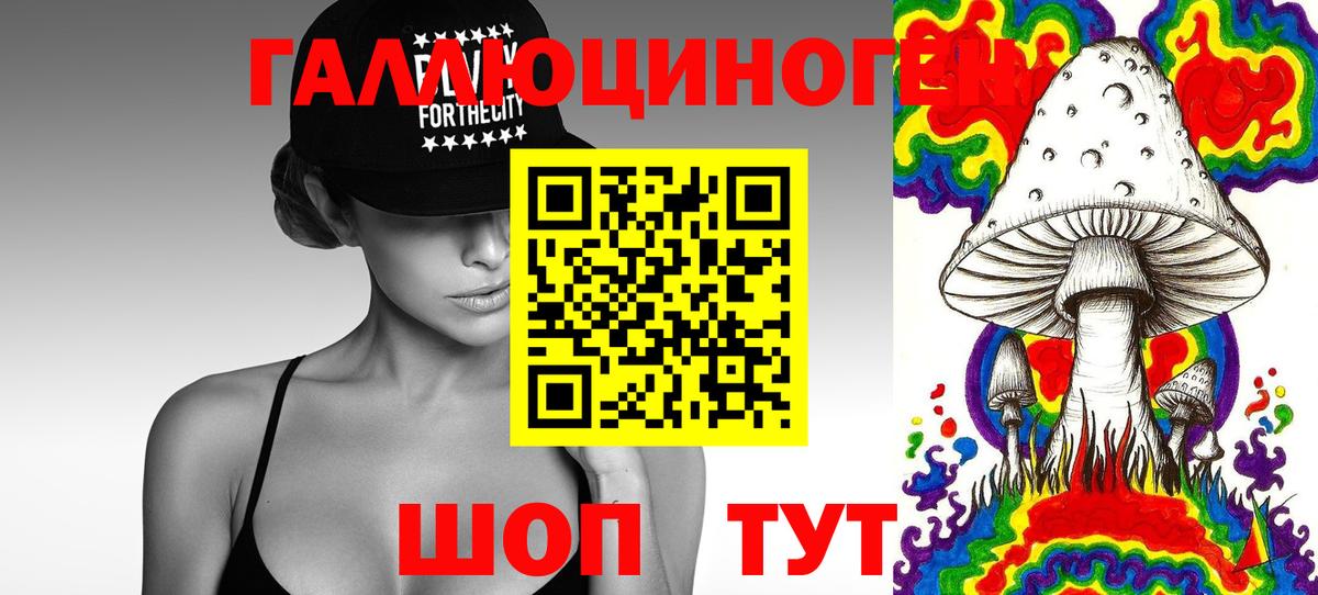 Галлюциногенные грибы Magic Shrooms  Псилоцибиновые грибы Psilocybine cubensis  Кизилюрт  Вход с VPN 